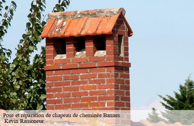 pose-et-reparation-de-chapeau-de-cheminee