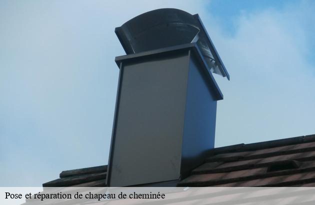 pose-et-reparation-de-chapeau-de-cheminee