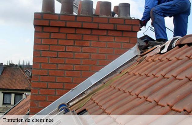 entretien-de-cheminee
